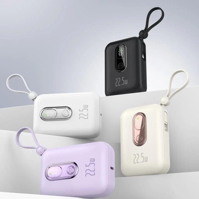 Power Bank 004
